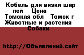 Кобель для вязки шар-пей. › Цена ­ 4 000 - Томская обл., Томск г. Животные и растения » Собаки   